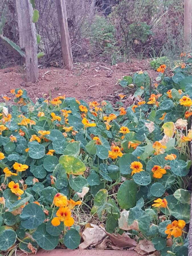 Chalés Magia das Águas Águas de Lindoia Exterior foto