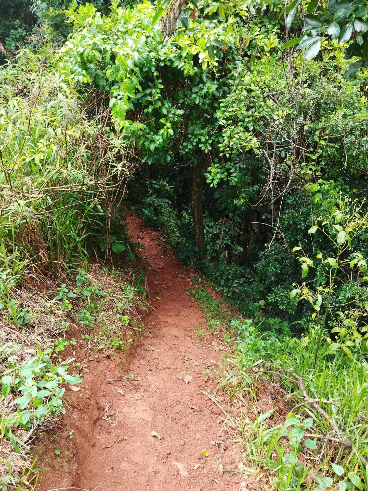 Chalés Magia das Águas Águas de Lindoia Exterior foto