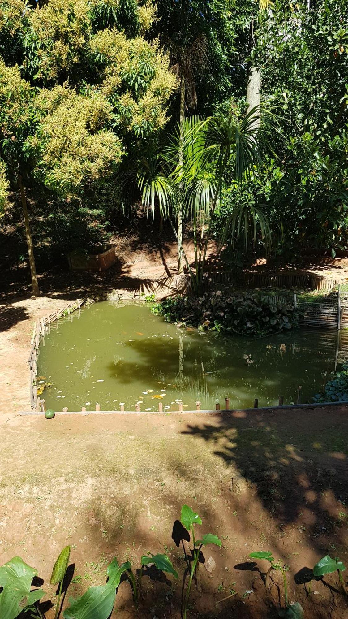 Chalés Magia das Águas Águas de Lindoia Exterior foto