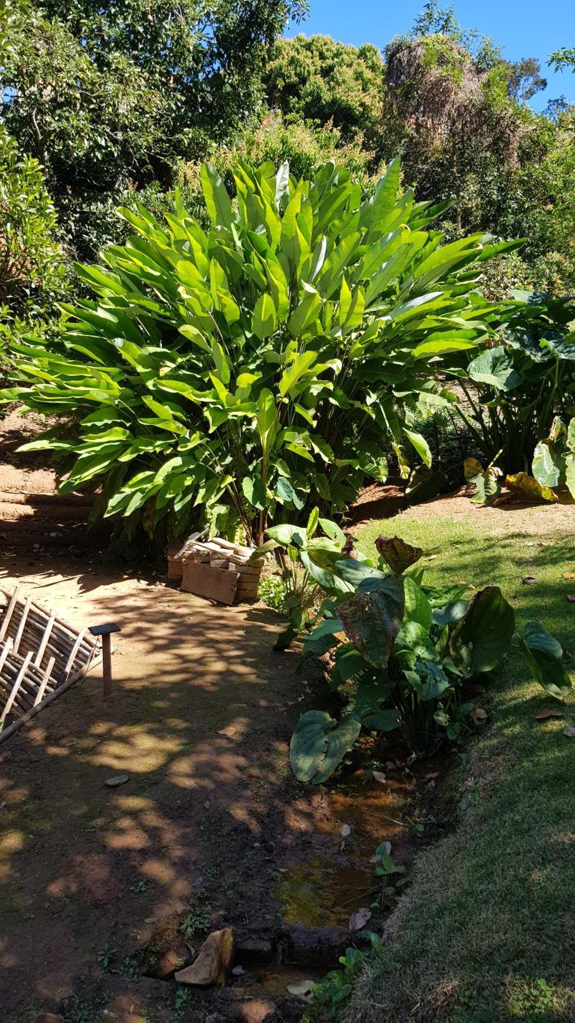 Chalés Magia das Águas Águas de Lindoia Exterior foto