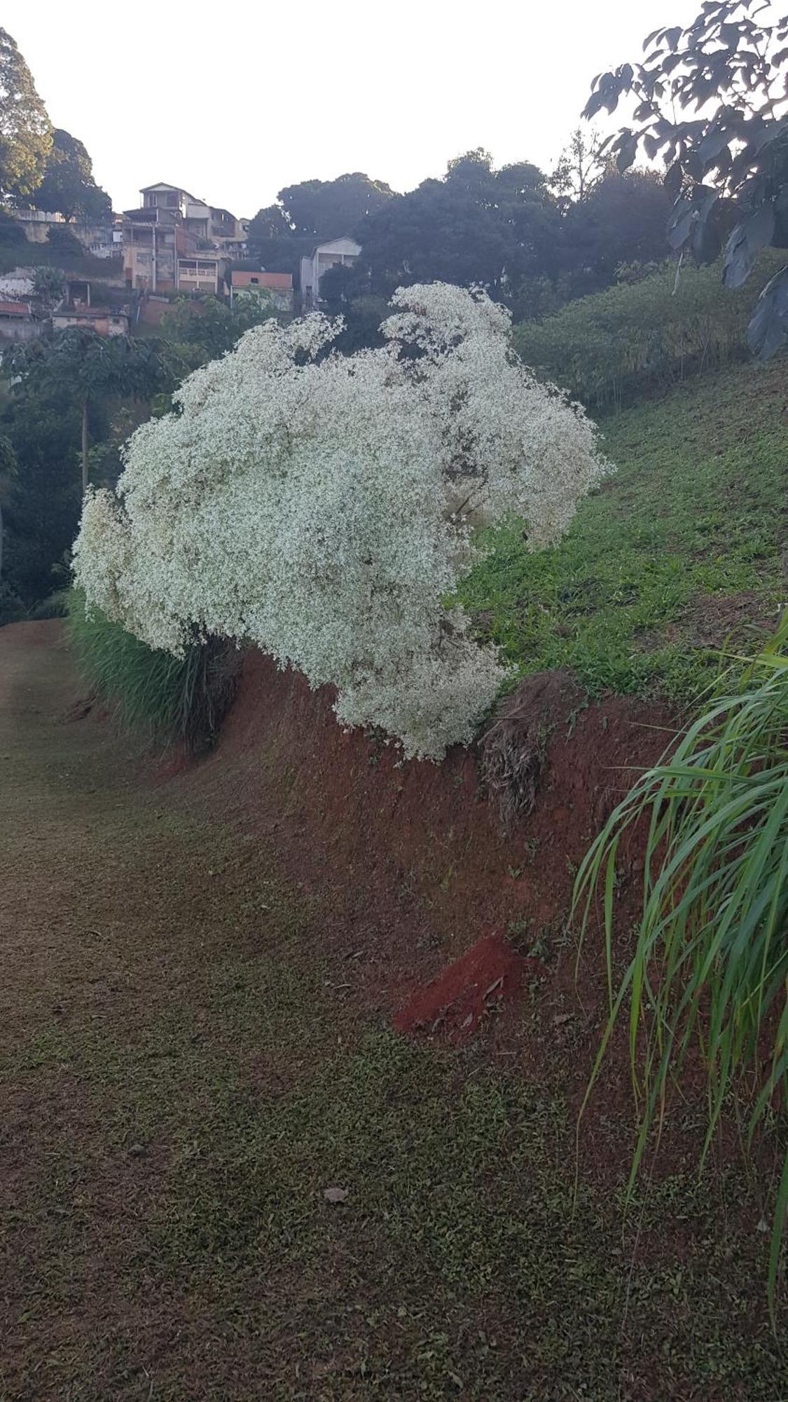 Chalés Magia das Águas Águas de Lindoia Exterior foto